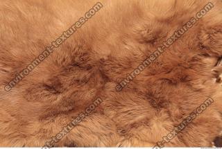 Photo Texture of Fabric Fur 0005